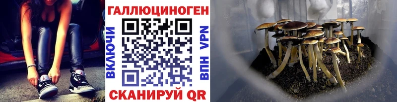 Псилоцибиновые грибы Cubensis  где купить наркотик  Гатчина 