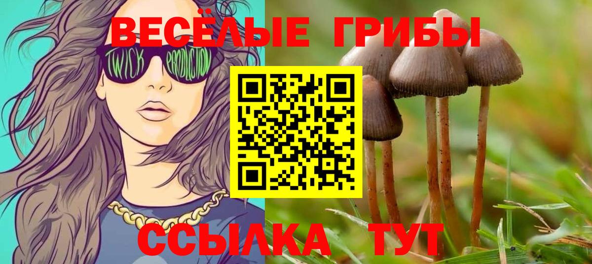 Псилоцибиновые грибы Magic Shrooms Гатчина