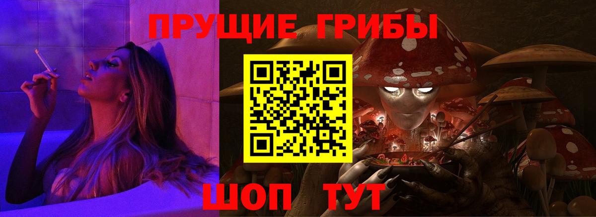 Псилоцибиновые грибы Psilocybine cubensis  Вход с VPN  Псилоцибиновые грибы прущие грибы  Гатчина 